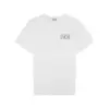 Dior x Raymond pettion t shirt