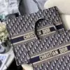 DIOR BOOK TOTE BAG