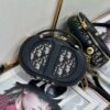 Dior CD Signature Oval Camera Bag
