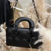 DIOR LADY D-JOY BAG