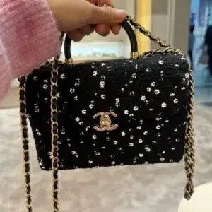 Chanel Tweed Bag